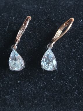 Bella Luce Rhodium Over Sterling Silver White Diamond Simulant Earrings